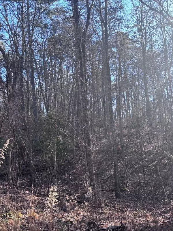 Lot 73 Bice Lane, Blue Ridge, GA 30513