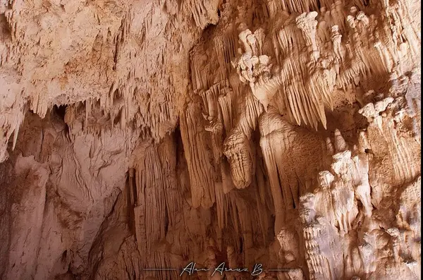 Exploring the Natural Jewels of the Nicoya Peninsula: An Introduction