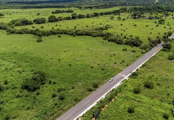 Guanacaste,,El Roble