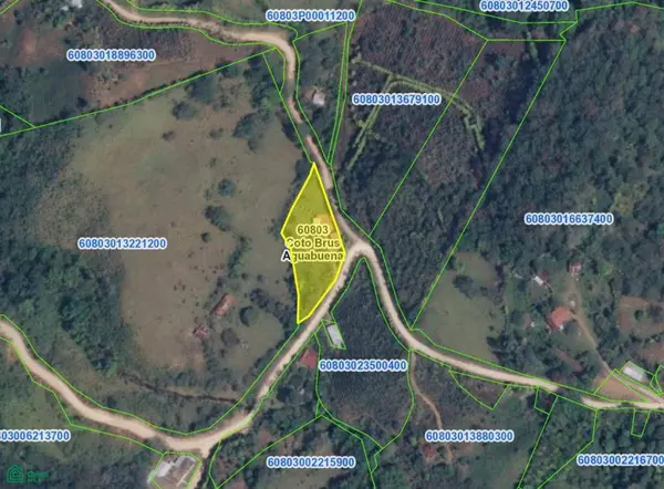 Santa Cecilia, 60801