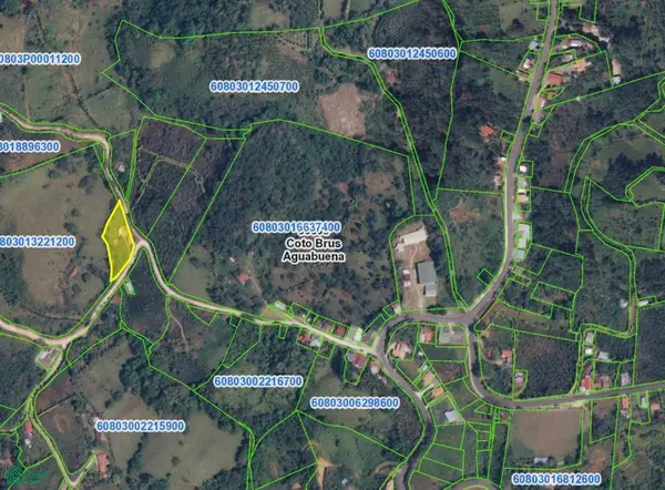 Santa Cecilia, 60801