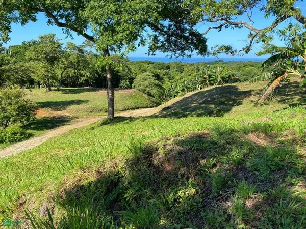 Ocean-View Development Land for Sale in Nosara, Santa Cruz,