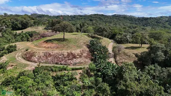 Ocean-View Development Land for Sale in Nosara, Santa Cruz,