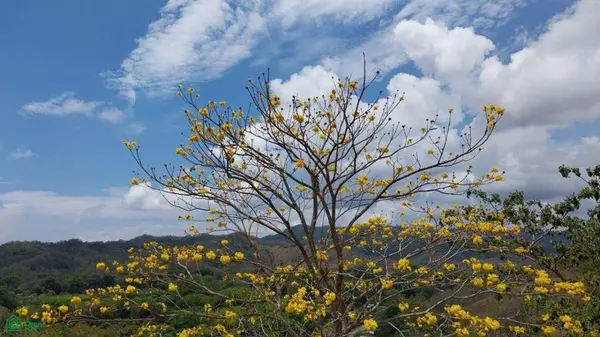Sunset Hills Paquera, Puntarenas,