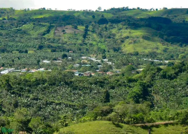 Santa Cecilia de Agua Buena,