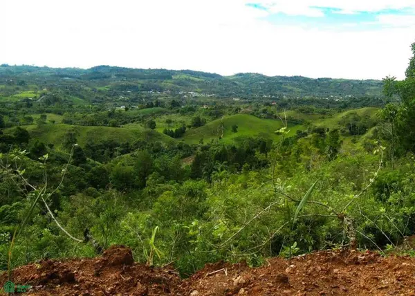Santa Cecilia de Agua Buena,