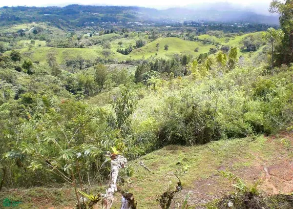 Santa Cecilia de Agua Buena,