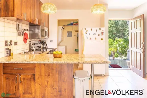 Palmas de Tamarindo 204D, Santa Cruz, 50309