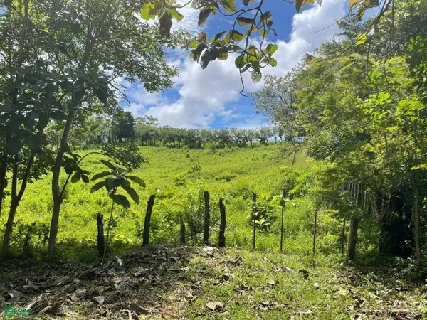 Santa Marta, Hojancha, 51103