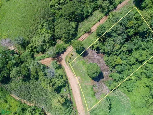 Marbella, Santa Cruz,