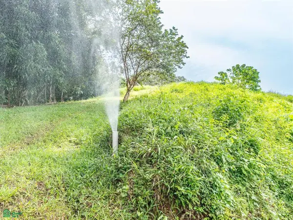 Ocean View Lots, Pilas de Bejuco, Guanacaste, 50205