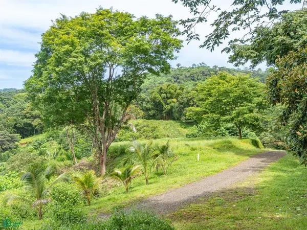Ocean View Lots, Pilas de Bejuco, Guanacaste, 50205