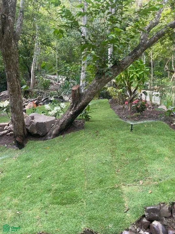 Bellevue Quantum Estate | Playa Órganos, Puntarenas, 50308