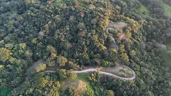 Playa Ostional/Nosara, Santa Cruz,