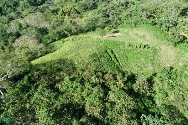 Playa Ostional/Nosara, Santa Cruz,