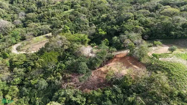 Playa Ostional/Nosara, Santa Cruz,