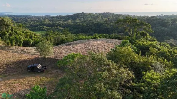 Playa Ostional/Nosara, Santa Cruz,