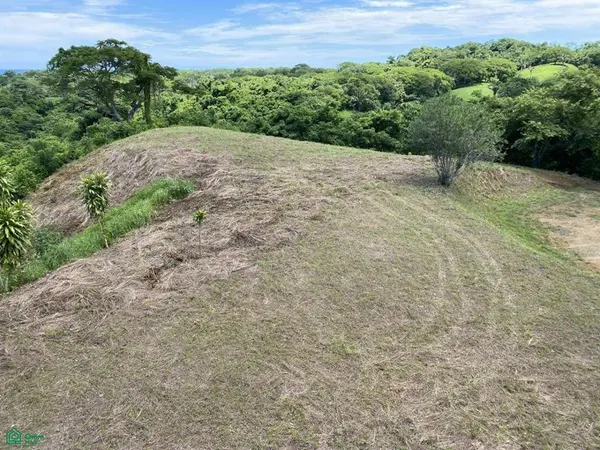 Playa Ostional/Nosara, Santa Cruz,