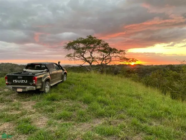 Playa Ostional/Nosara, Santa Cruz,
