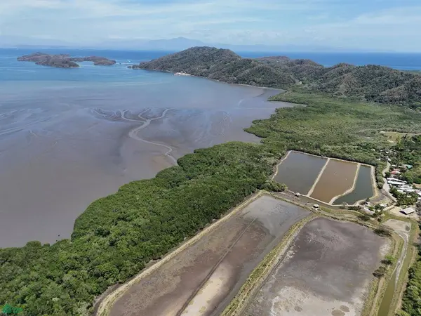 124 Acres Picco del Mar Paquera, 60105