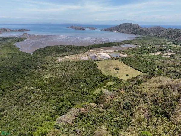 124 Acres Picco del Mar Paquera, 60105