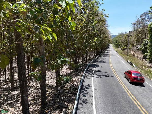 124 Acres Picco del Mar Paquera, 60105