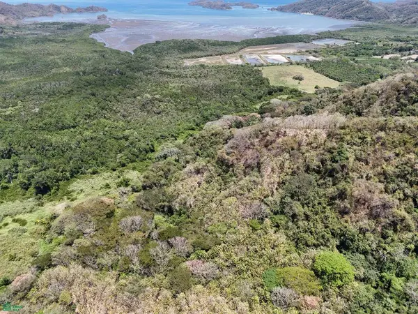 124 Acres Picco del Mar Paquera, 60105