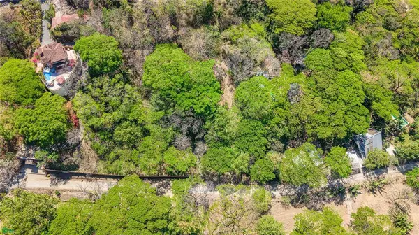 Esterones, Samara, Guanacaste 50308