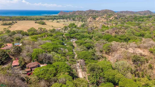 Esterones, Samara, Guanacaste 50308