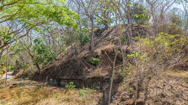 Esterones, Samara, Guanacaste 50308