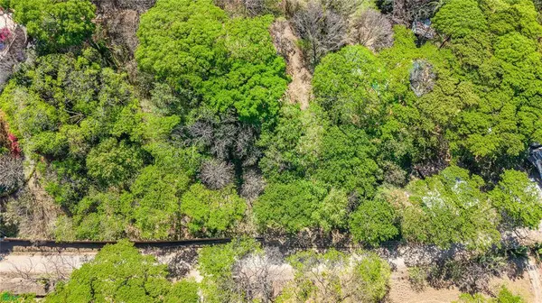 Esterones, Samara, Guanacaste 50308