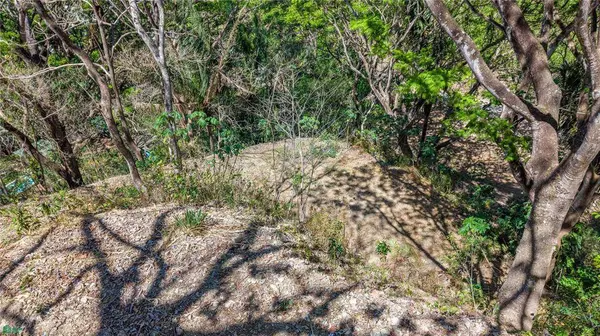 Esterones, Samara, Guanacaste 50308