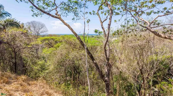 Esterones, Samara, Guanacaste 50308