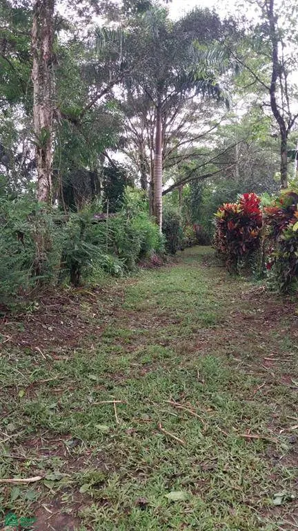 Pocosol, Alajuela 21013