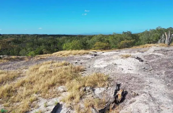 Curubande 48 Acres, Curubande, Guanacaste 50105