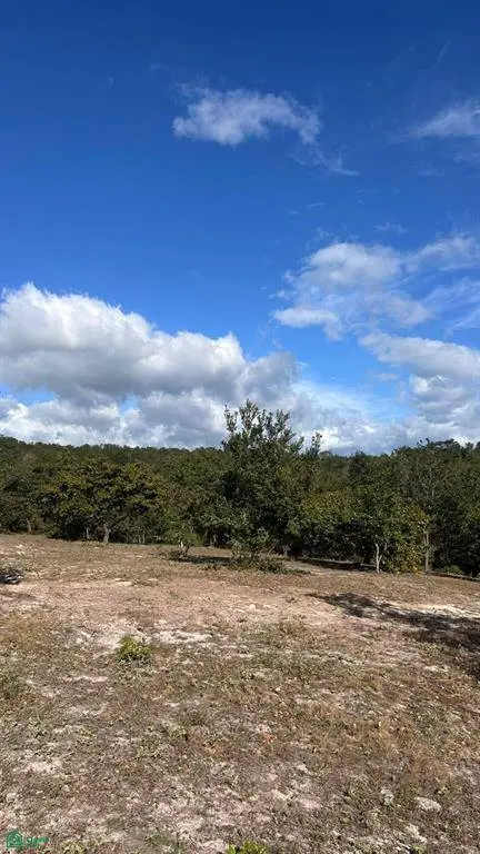 Curubande 48 Acres, Curubande, Guanacaste 50105
