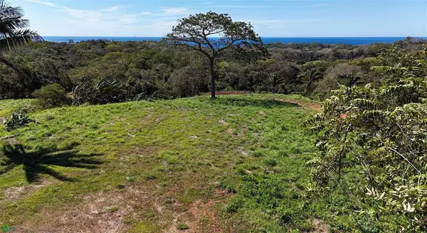 Playa Ostional Development 20-Lots on 8 ha, Cuajiniquil, Guanacaste 50306