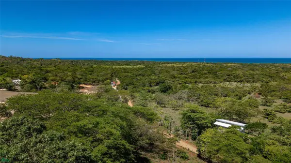 Avellanas Ridge | Oceanview Development Land, Tamarindo, Guanacaste 50309