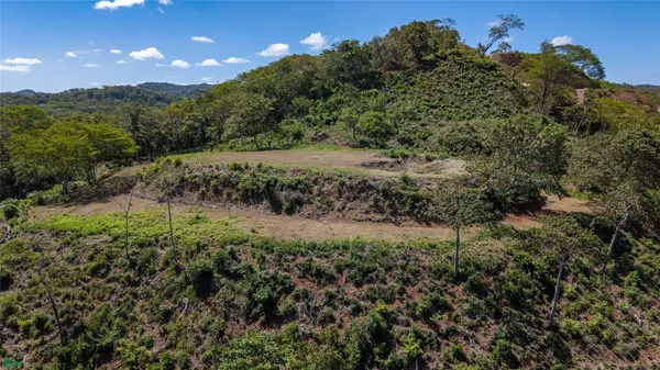 Avellanas Ridge | Oceanview Development Land, Tamarindo, Guanacaste 50309