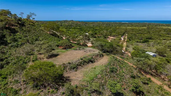 Avellanas Ridge | Oceanview Development Land, Tamarindo, Guanacaste 50309