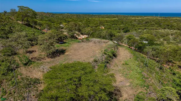 Avellanas Ridge | Oceanview Development Land, Tamarindo, Guanacaste 50309