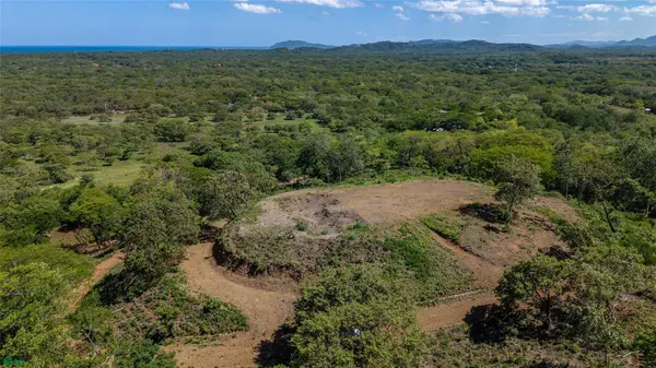 Avellanas Ridge | Oceanview Development Land, Tamarindo, Guanacaste 50309