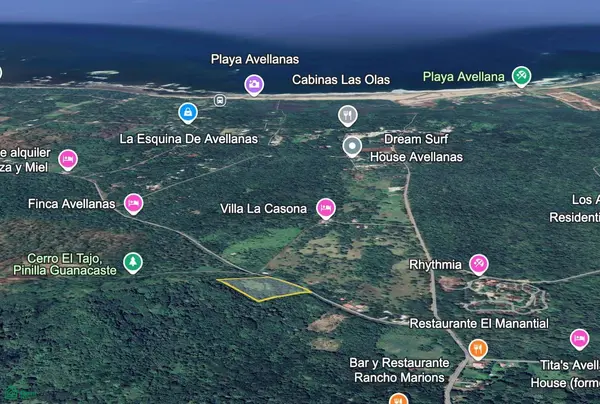 Avellanas Ridge | Oceanview Development Land, Tamarindo, Guanacaste 50309
