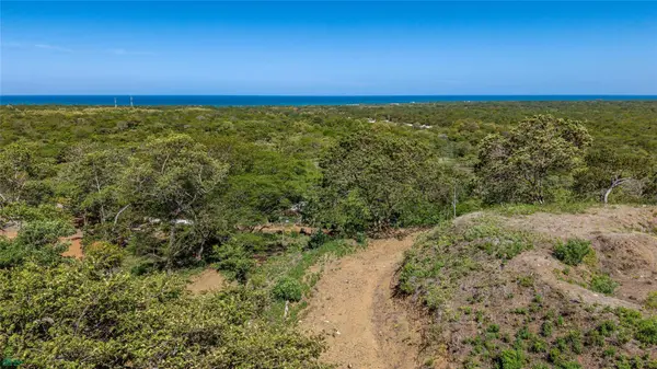 Avellanas Ridge | Oceanview Development Land, Tamarindo, Guanacaste 50309