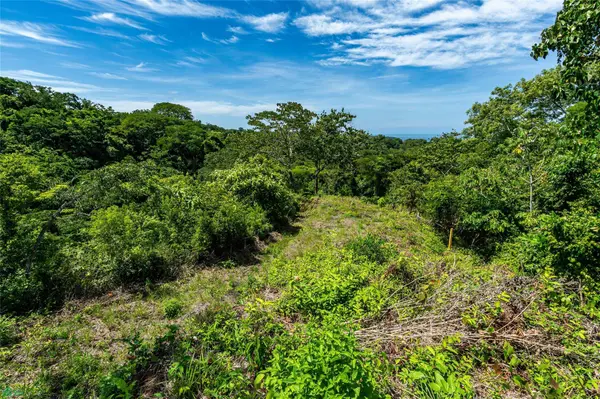Vista Verde, Samara, Guanacaste 50205