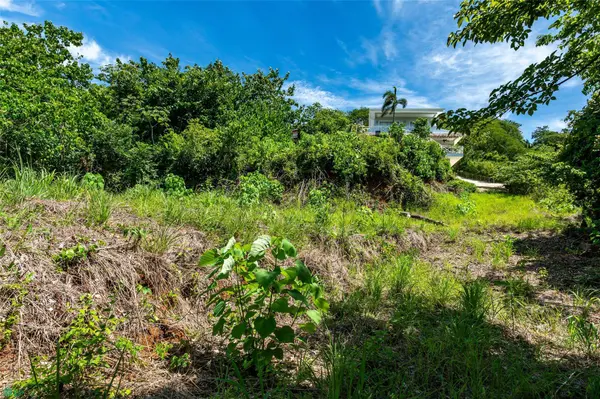 Vista Verde, Samara, Guanacaste 50205