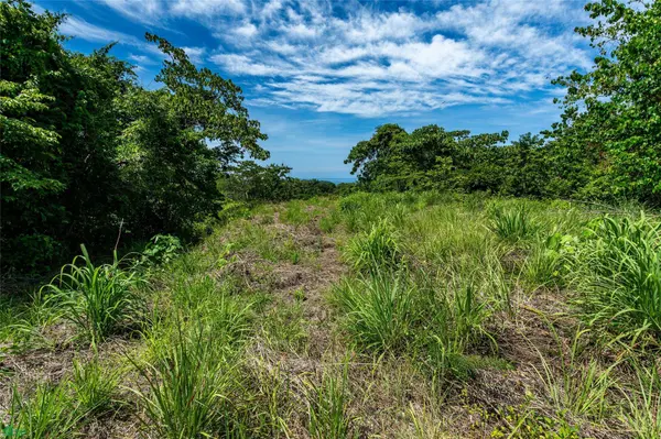 Mirador del Pacifico, Samara, Guanacaste 50205