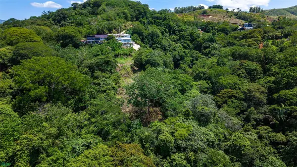 Vista Verde, Samara, Guanacaste 50205