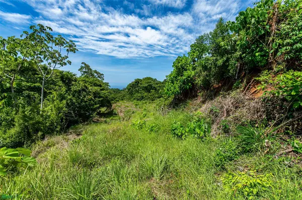 Mirador del Pacifico, Samara, Guanacaste 50205