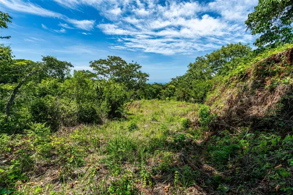 Vista Verde, Samara, Guanacaste 50205